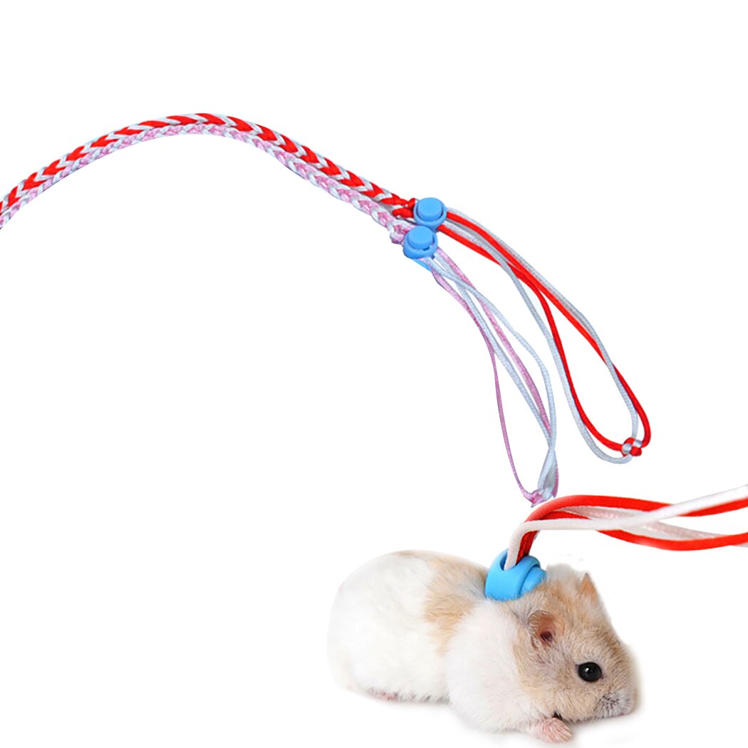 2 stuks konijnen-hamster harnas riemen hamsterriem harnas touw gerbil katoenen touw harnas lijn buiten verstelbaar dierenbenodigdheden: Default Title
