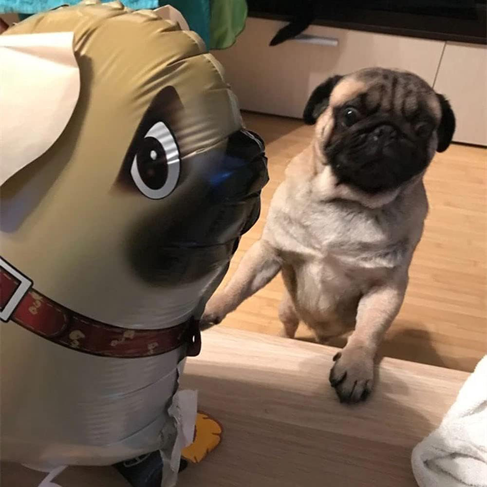 6 stuks wandelende dierenballonnen, hondenballonnen, puppyballonnen, opblaasbare ballonnen, verjaardagsfeestartikelen, ballondecoratie met dierenthema voor een verjaardagsfeest.