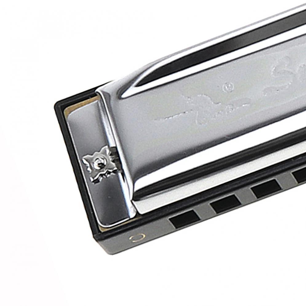 Harmonica diatonique en argent 10 trous 12 tons, instruments de musique en acier inoxydable pour débutant