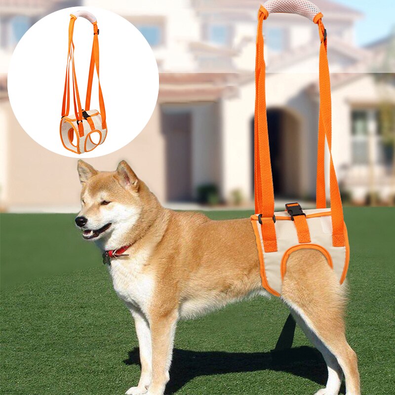 Pet Dog Mesh Leashes Assist Harness Rear Lifting Brace Harness for Old Dogs Aid Assist Tool Rehab Harness for Dogs with Weak