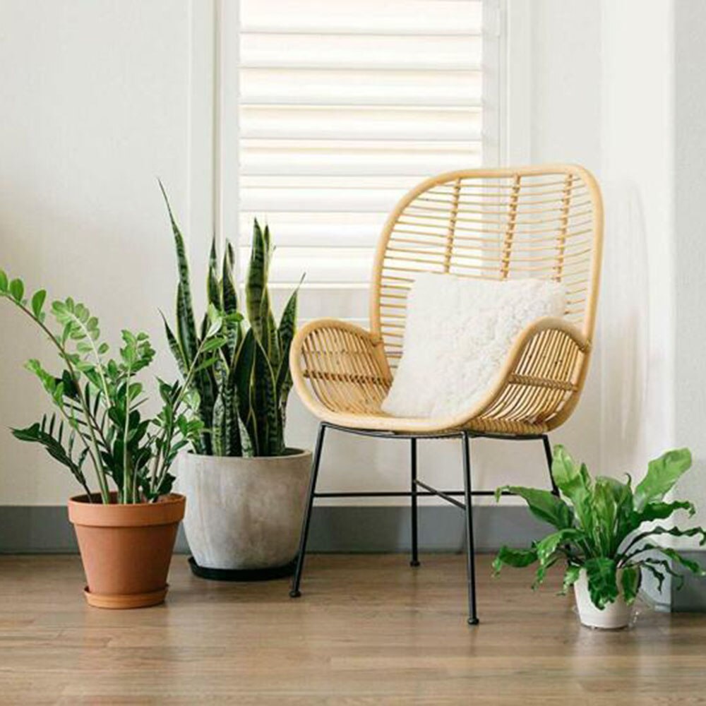 10 pièces 6/8/10 \ '\' fleur Pot Mat jardin plante soucoupe égouttoir rond Pot Base clair Snack conteneur PET Transparent plantes d'intérieur