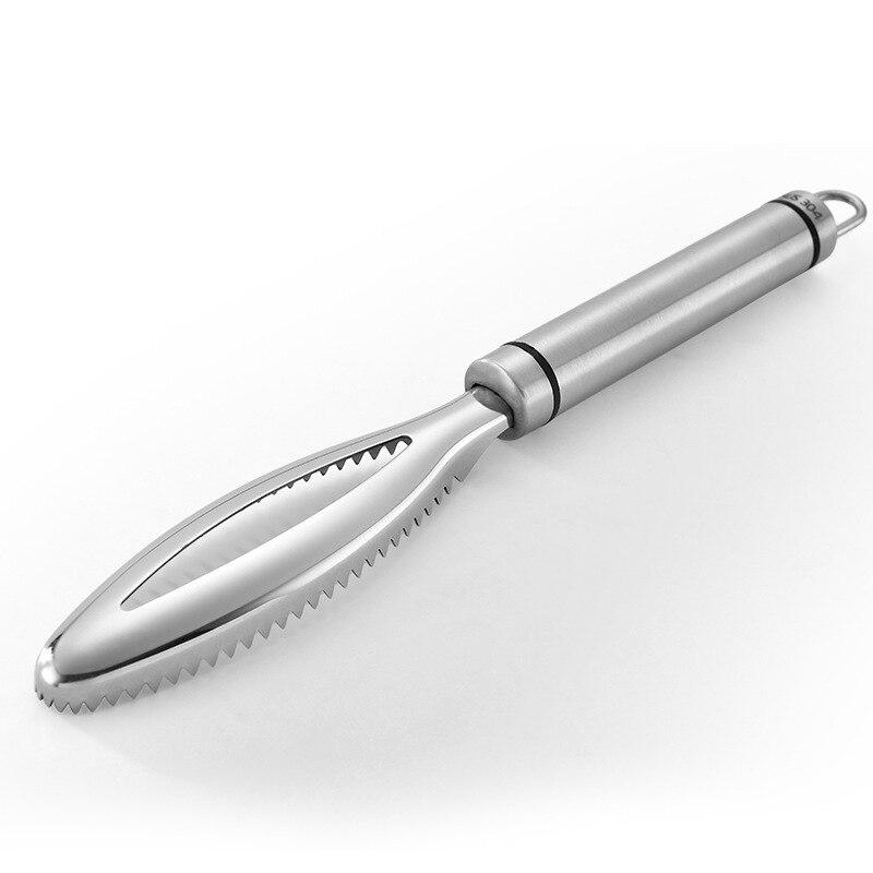 Grattoir à écailles de poisson en acier inoxydable, outils de nettoyage, dissolvant de brosse de peau de poisson, outils de cuisine: 1