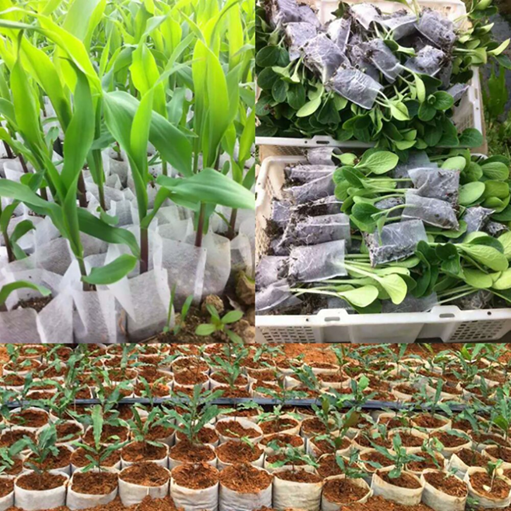 Planteskole potter frøplante-hæve poser 8*10cm tekstiler have leverer miljøbeskyttelse fuld 8*10 størrelse 100 stk-pakke  it123