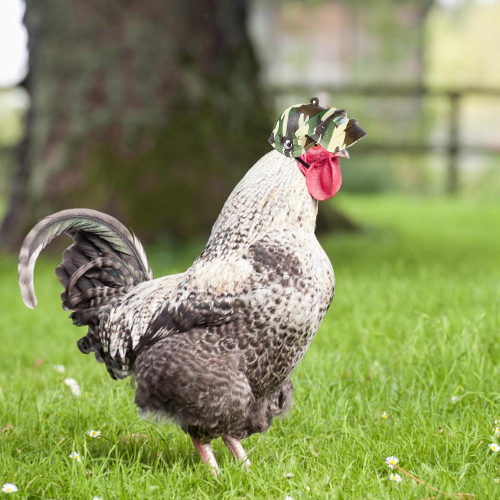 Pet Helm Lustige Huhn Helm Kopf Schutz Kompakte Huhn Huhn Ducks Birds Hard Hut Kopf Helm Pet Liefert
