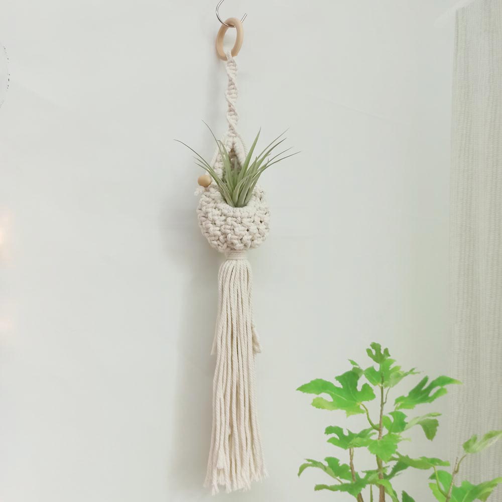 Soporte de macramé para plantas de aire, colgador para plantas de aire bonitas, Mini plantas suculentas, Tillandsia y plantas artificiales, tapiz de pared para decoración del hogar: GT-02C-Ivoy