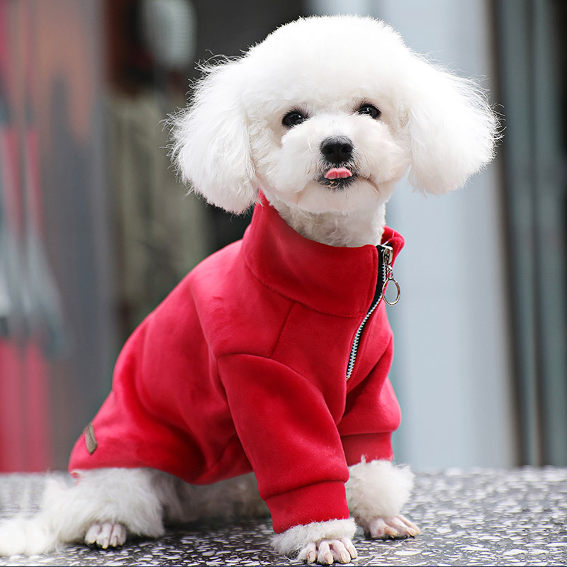 Ropa de invierno para mascotas, abrigo cálido para gato, chaqueta para perro Bulldog francés, chaleco suave para perros pequeños, medianos y grandes, traje Beige para gato: Rojo / L