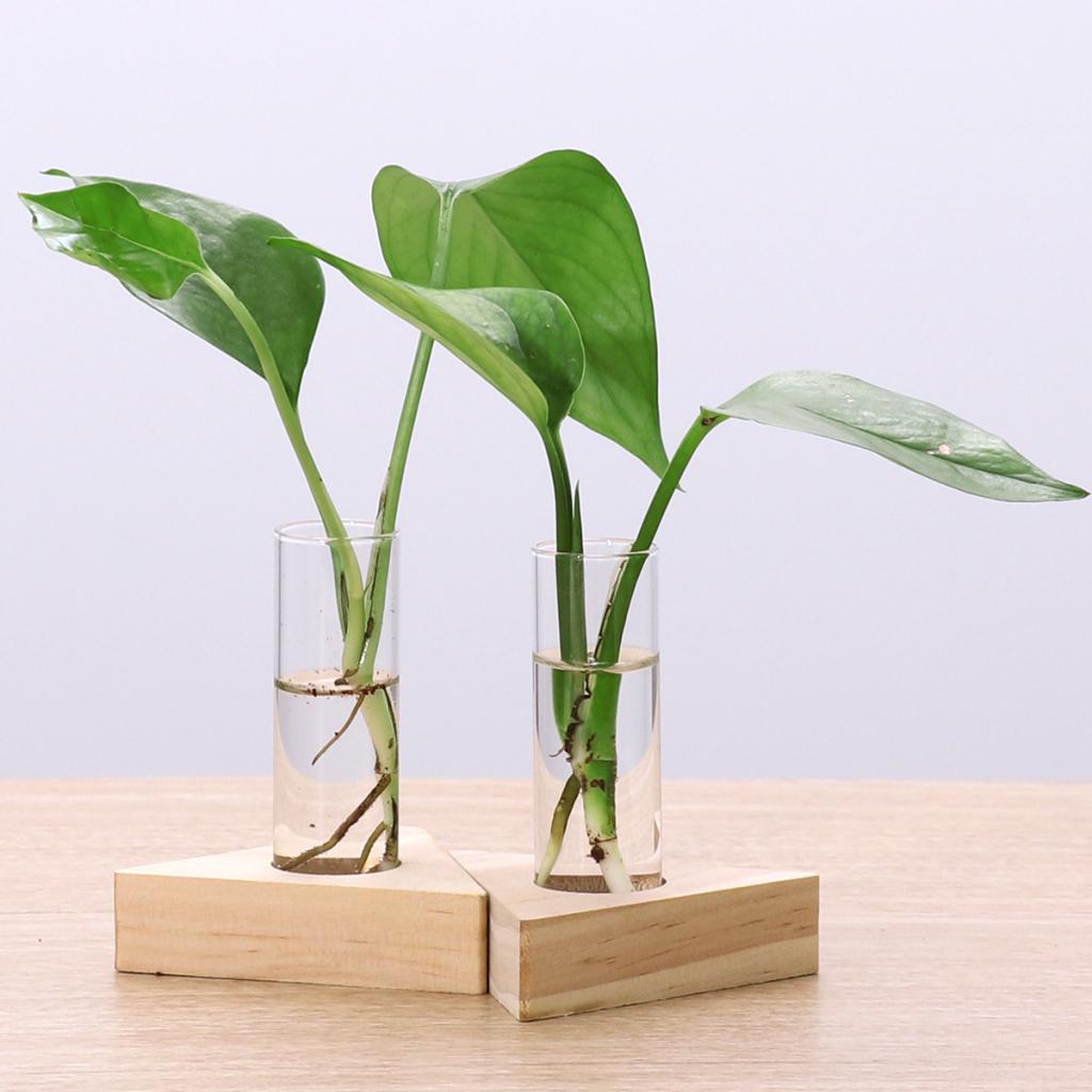 Plantador de 2 uds, jarrón de flor de tubo de prueba, macetas de cristal de mesa en soporte de madera