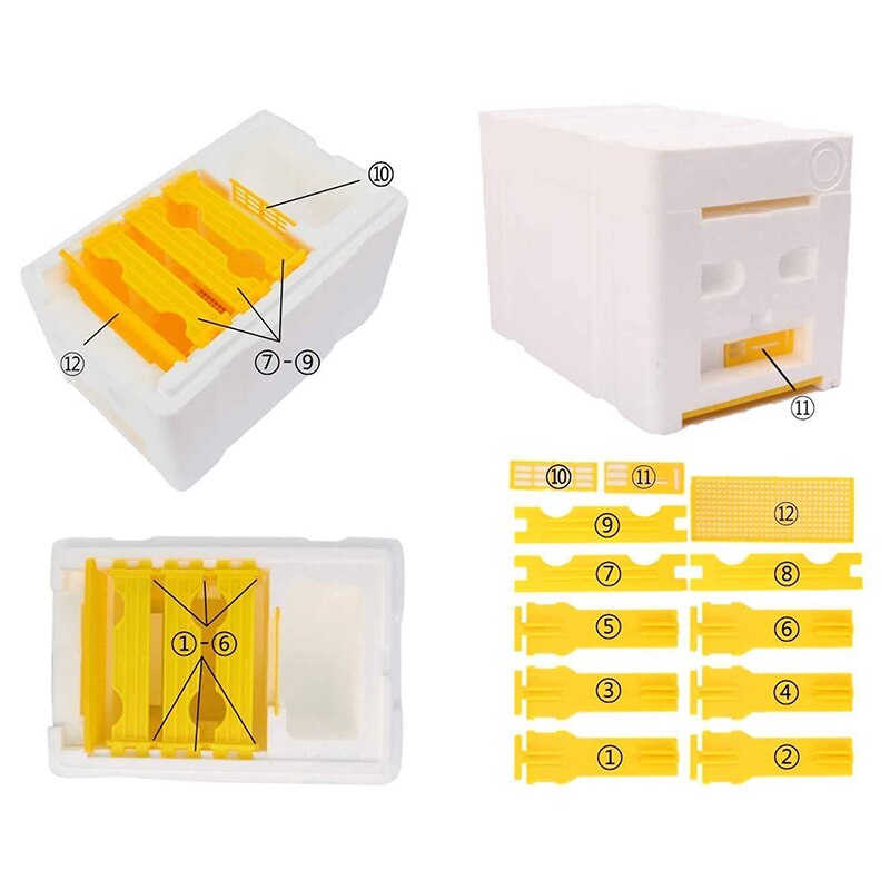 Beehive Beekeeping King Box Pollination Box Foam Frames Beekeeping Tool Kit