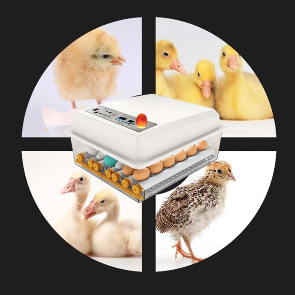 Egg Incubator Fully Automatic 16 Eggs/7eggs Digital Mini Brooder Small Chicken Bird Egg Incubator Automatic Farm Incubation Tool
