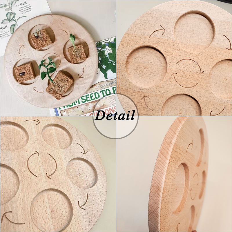 Bordo del ciclo di vita animale in legno giocattoli per bambini supporti didattici Montessori ciclo di crescita delle piante modello Set giocattoli educativi per la scienza della vita