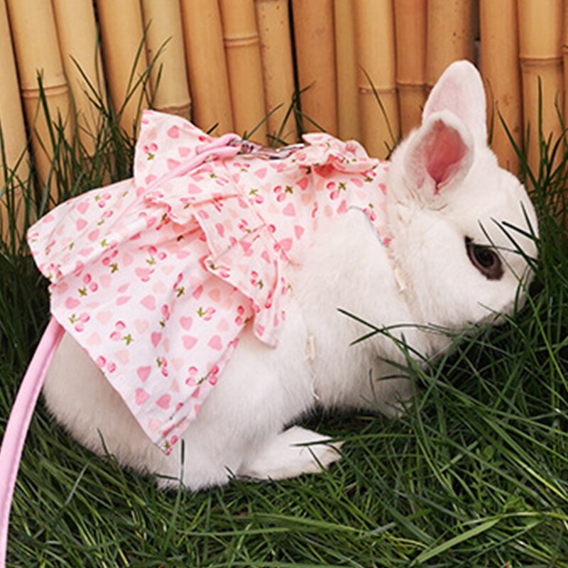 Small Animal Harness Soft Floral skirt Clothes Travel Chest Strap Rabbit Ferret Bunny Hamster Small Pet Supplies Vest Leash Set
