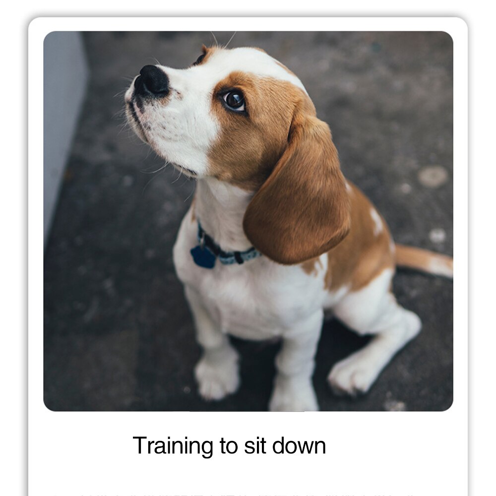 Youbaolong metrampaż dla zwierząt domowych robić treningu pomaga zrozumieć instrukcje 9 kolorowe materiały szkoleniowe