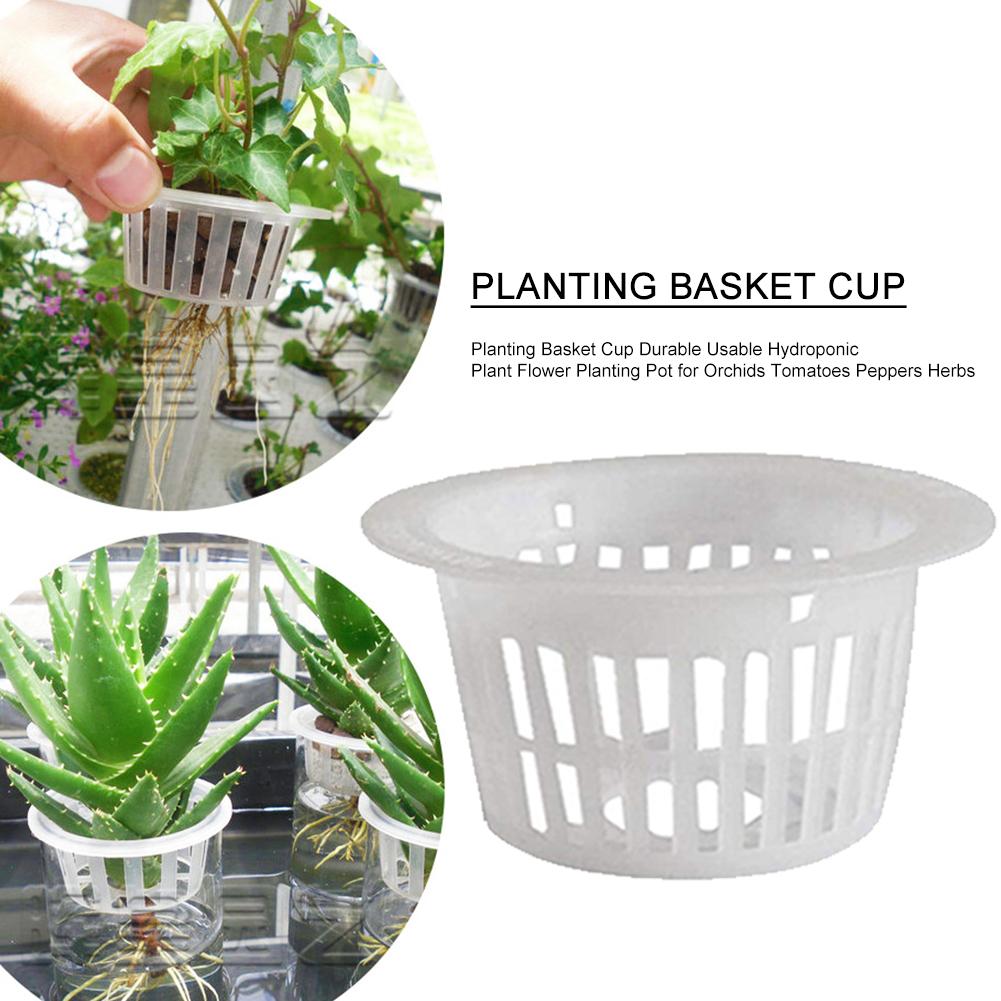 Macetas hidropónicas, cesta de plantación de plantas aeropónicas, macetas de germinación para vivero con maceta de malla hidropónica, esponjas