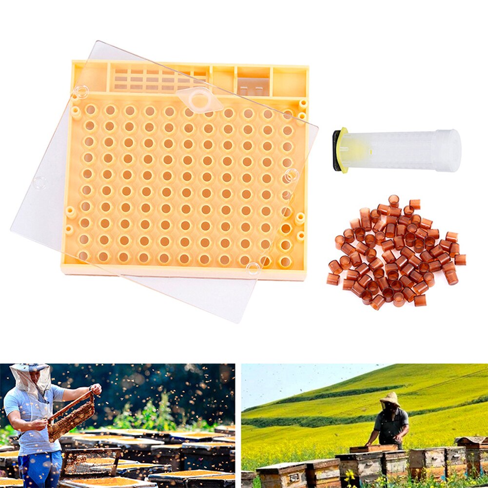 Beekeeping Bee Hive Smoker Kit Beekeeping Tools Equipment Set Queen Rearing System Cultivating Box Beehive Water Feeder