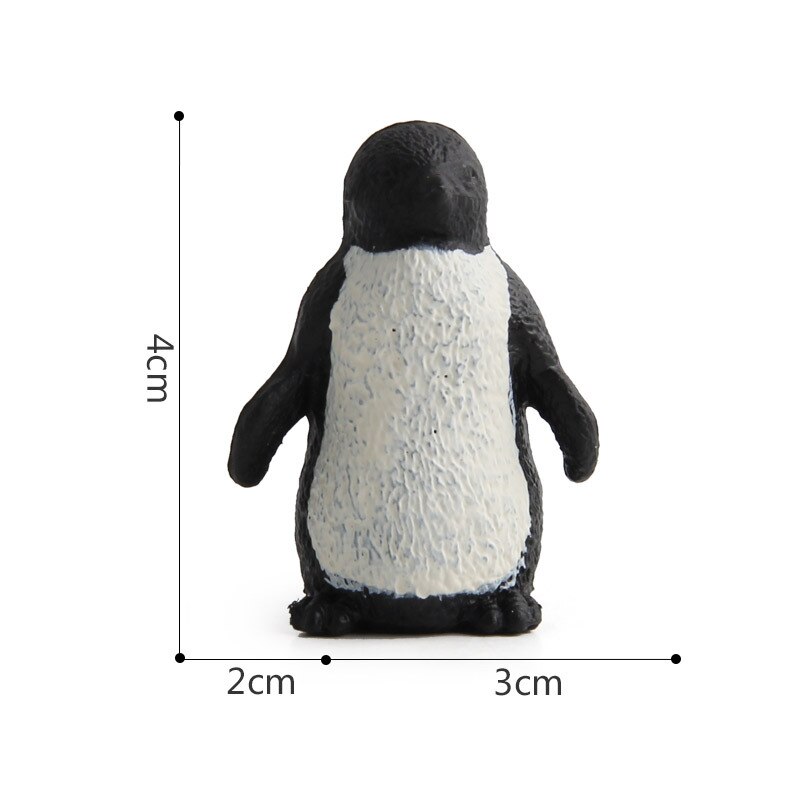 Antarctische Zeedier Simulatie Diermodel Pinguïn Micro Landschap Educatief Speelgoed Voor Kinderen Animal Model Decoratie: PL127-435