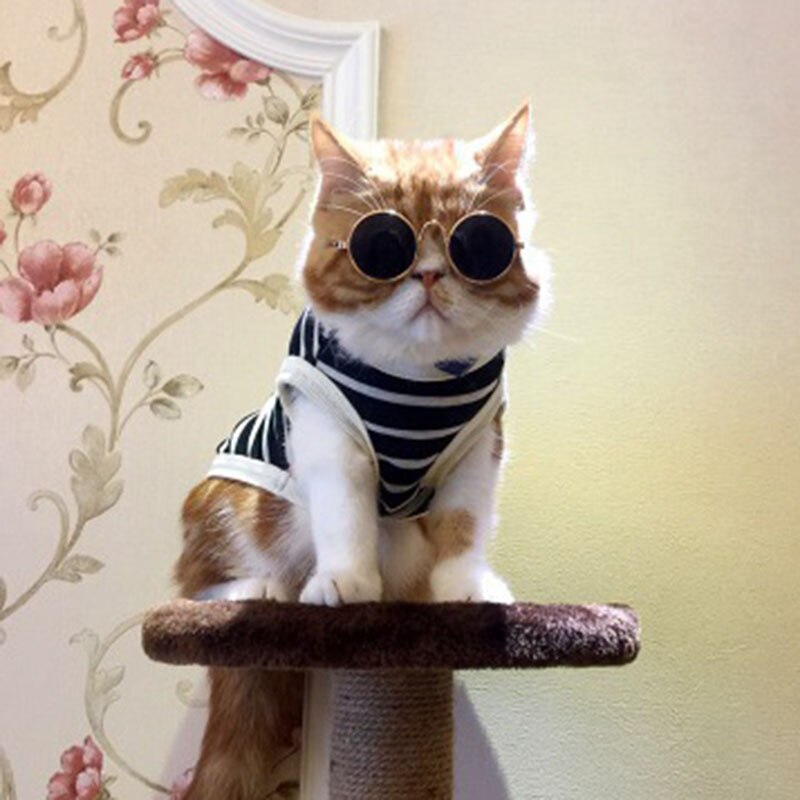 Mode Hond Kat Zonnebril Kleine Hond Bril Huisdier Producten Voor Kat Glazen Hond Eye-Wear Foto 'S Huisdier Accessoires ronde Bril