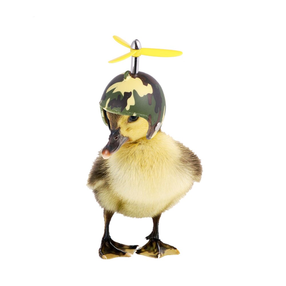2 uds pollo divertido casco para equipo de protección sol protección contra la lluvia casco accesorios de disfraces pájaro gallinas, suministros para mascotas