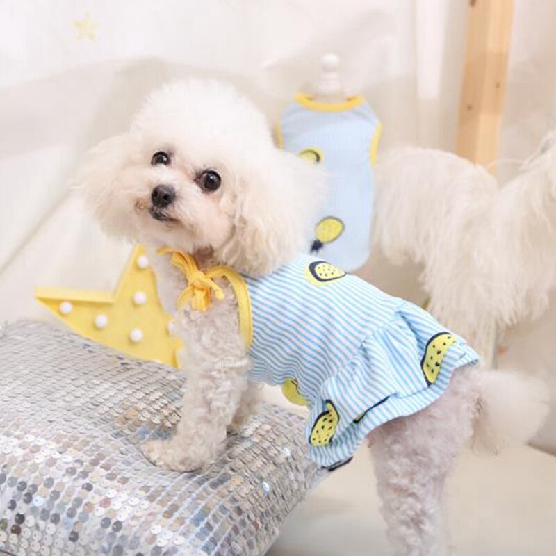 Zomer Mode Hond Kleding Voor Kleine Hond Chihuahua Kleding Prinses Huisdier Kat Fruit Jurken Puppy Sling Rok