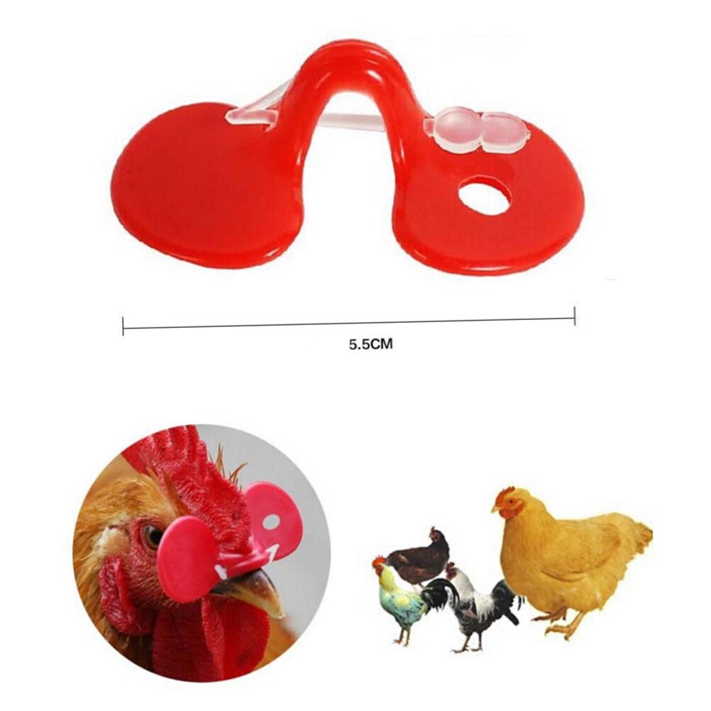 Gafas con ojos de gallina roja, 10 Uds., para granja de ganado, para evitar pecas de pollo, de plástico rojo
