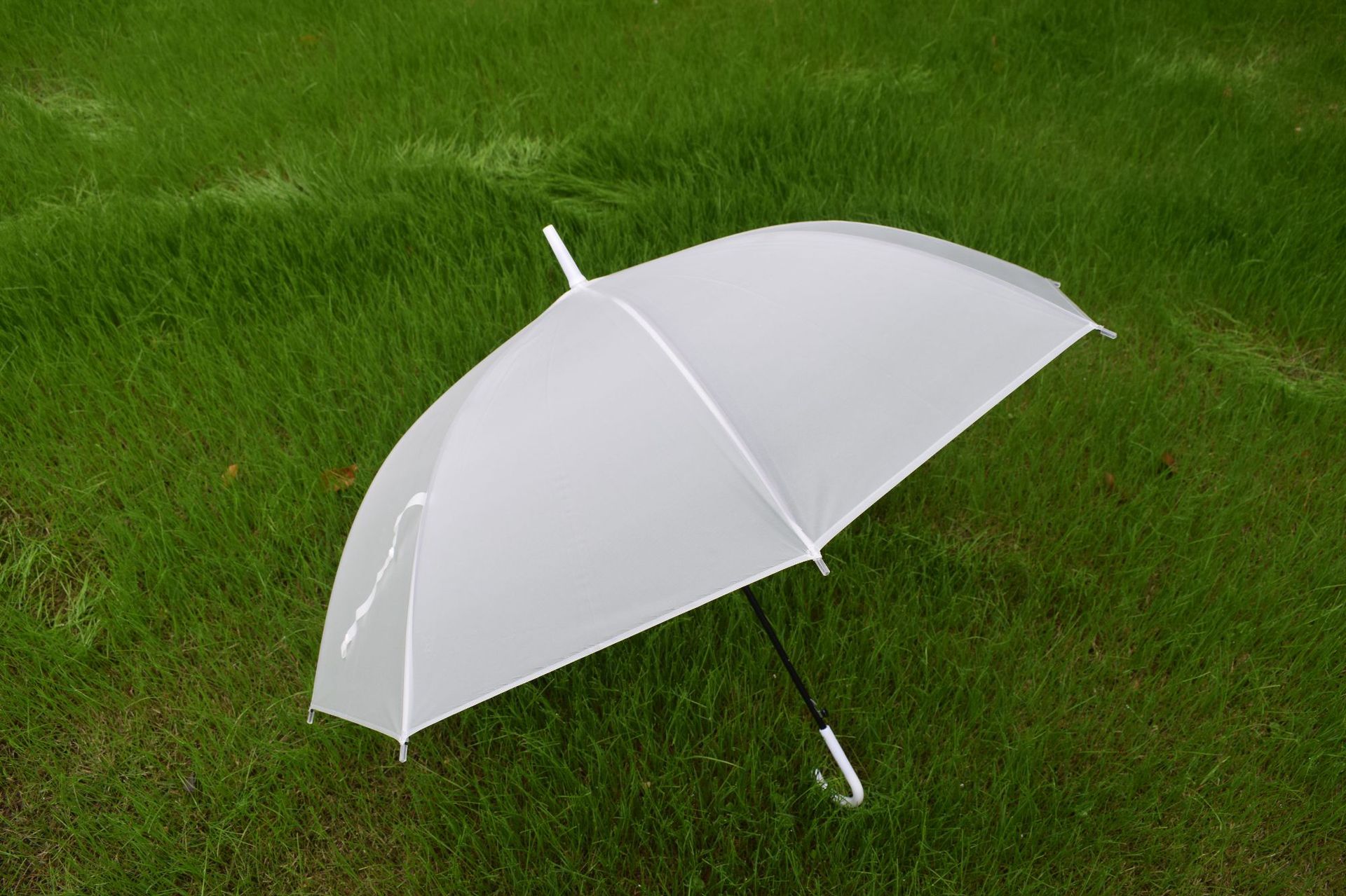 8-Bone Lightweight Small Fresh Umbrella Transparent Straight Umbrella Semi-Automatic Multicolor Polka Dot Ladies Umbrella: Frosted white