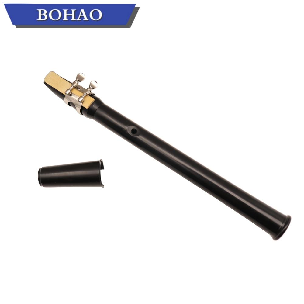 BOHAO Mini Taschen Saxophon - Eb Alt Saxophon - Goldlack ABS Korpus - Tragbares Blasinstrument