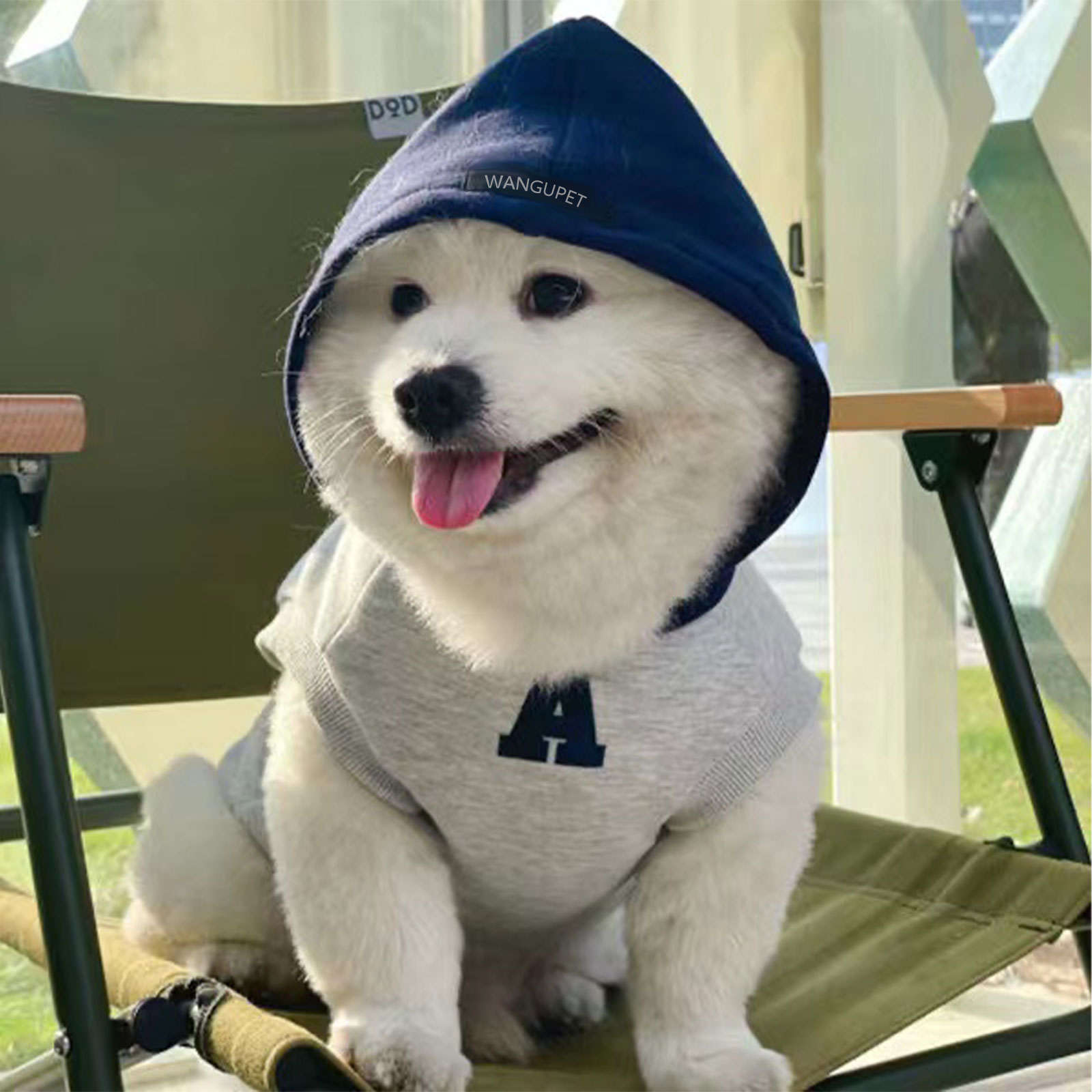 Dog Hoodie Winter Warm Dog Clothes Soft Sweatshirt Small Medium Dogs Coat Cold Weather Dog Clothing French Bulldog Chihuahua