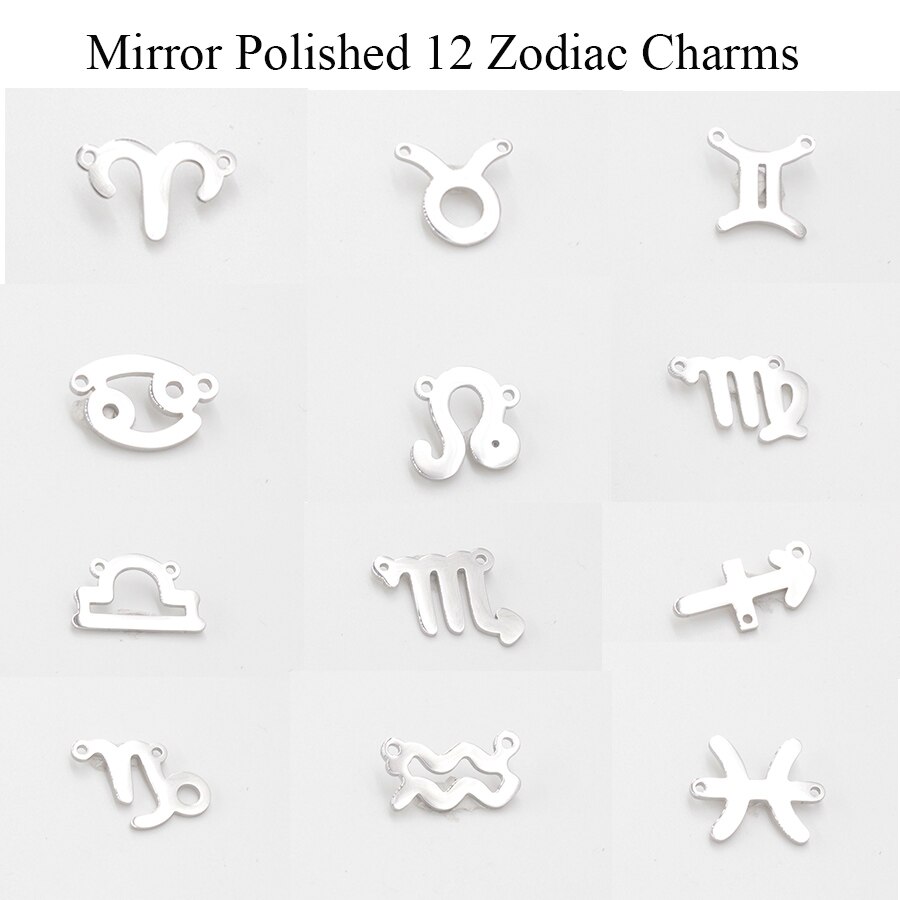 Fnixtar 15mm Mirror Polished Stainless Steel Twelve Zodiac Charms DIY Constellation Connectors Charms DIY Jewelry 12pcs/lot: steel color 12 kind