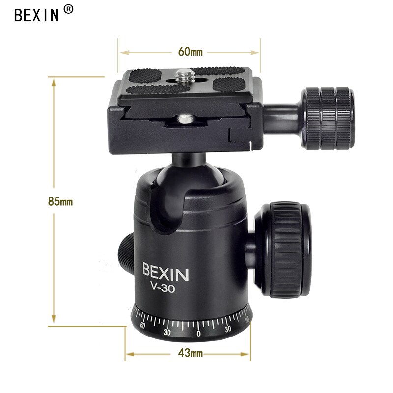 Bexin-tripé para câmera de viagem ou alumínio, acessórios para fotografia, pequeno, com cabeça redonda