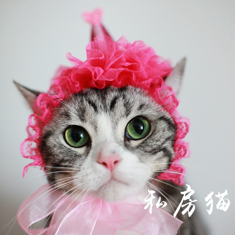 [mpk kattehovedbeklædning] smuk kattehat, tilbehør til kæledyrshår, kattehovedbeklædning, kæledyrs fødselsdagshat, kattefødselsdagskron