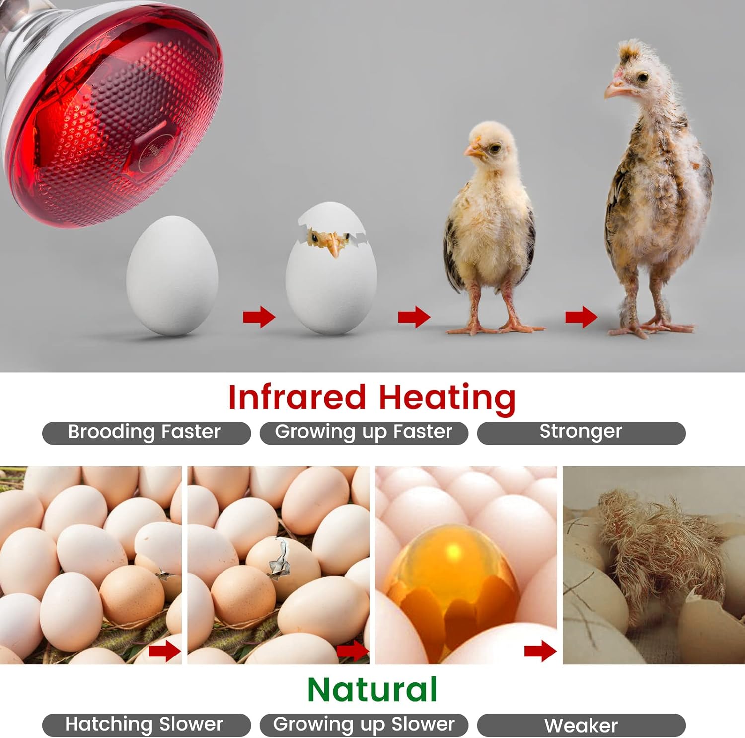 E27 Infrared Heat Lamp for Chickens 220V 100-275 Watts Red Heat Lamp Bulb Heat Light Bulb for Brooder Coop Chicks Pet Reptile