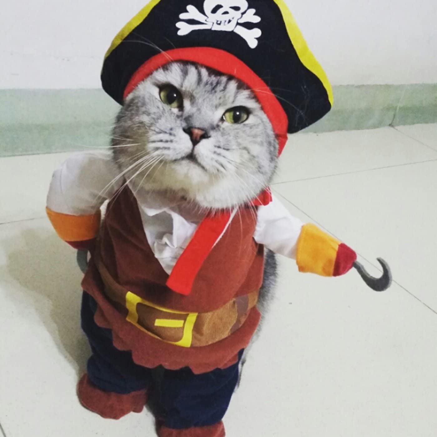 Ropa divertida para mascotas disfraz de pirata para Cosplay perro gato Halloween eventos especiales disfraz ropa para perros pequeños medianos