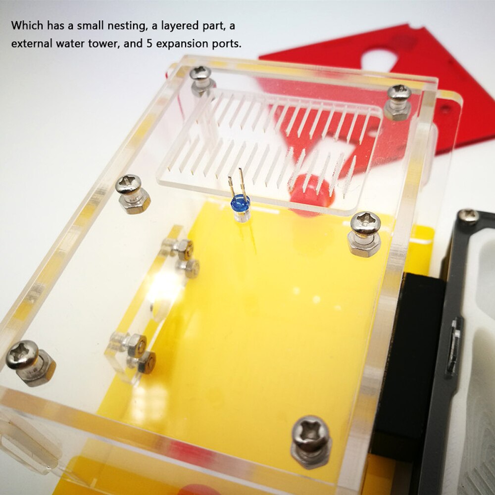 Ant Nest DIY Moisture Feeding Area Acryl Ant Farm Ants House Birthday