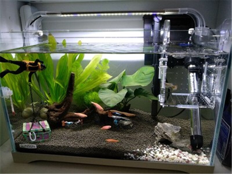 Caja de aislamiento para acuario, recipiente acrílico para incubar peces, 1 unidad
