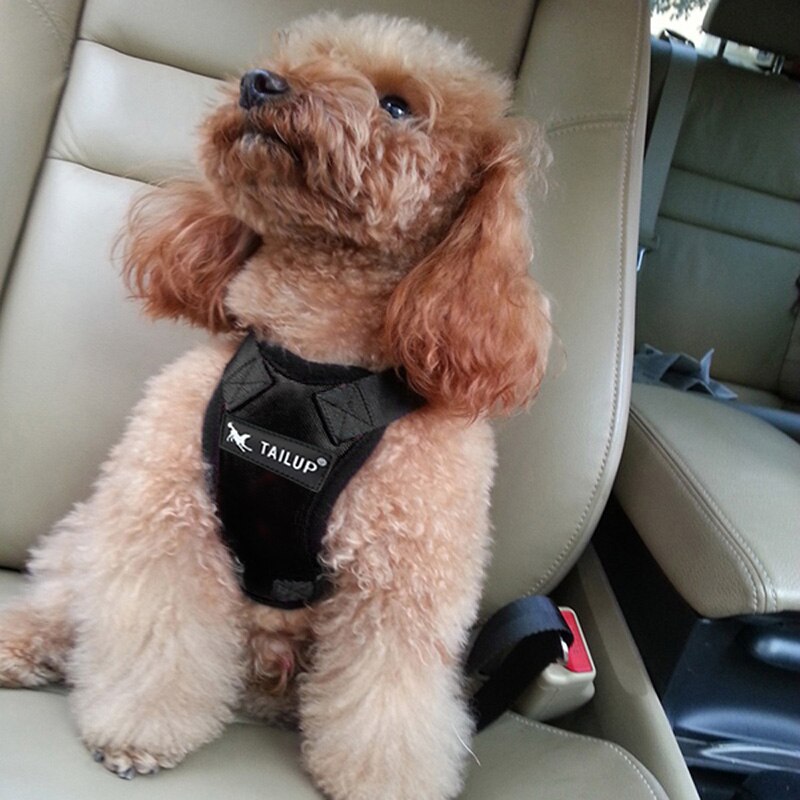 Dog Seat Belt Chest Harness Vest Harness Breathable Mesh Fabric Car Vehicle Safety Seat Belt for Pet Dog Cat Chest Vest Harness: Black / S