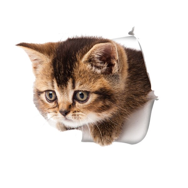 3D Creatieve Kat Hond Gebroken Muur Cartoon Sticker Zelfklevende Waterdicht Decoratie Wc Notebook Sticker: 08