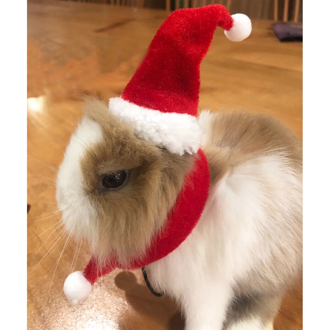 Small Animals Pet Santa Claus Hat Rabbit Hamster Guinea Pig Rats Festival Costume Christmas Cap with Band Pet Products