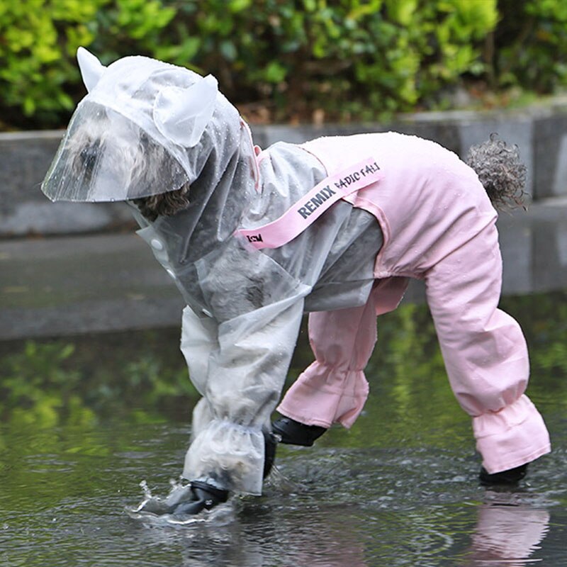 Kæledyrshund sød regnfrakke hvalp fire fods hættebeklædt gennemsigtig vandtæt bamsepuddel stor hund regntøj til dyr kæledyr