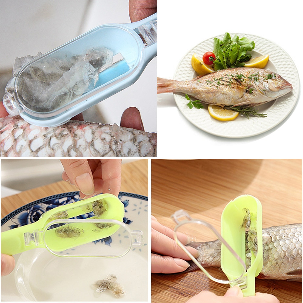 Practical Fish Scale Remover Scaler Scraper Cleaner Kitchen Tool Peeler Kitchen Accessories Cleaning Fish Tools Home Stuff: Default Title