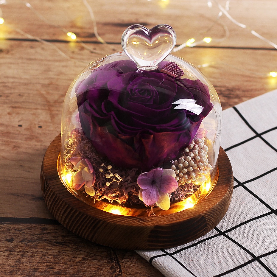 Led lampa ros i glaskupol exklusiv ros odödlig blomma födelsedag skönhet och odjuret evig mors dag presentlila ros