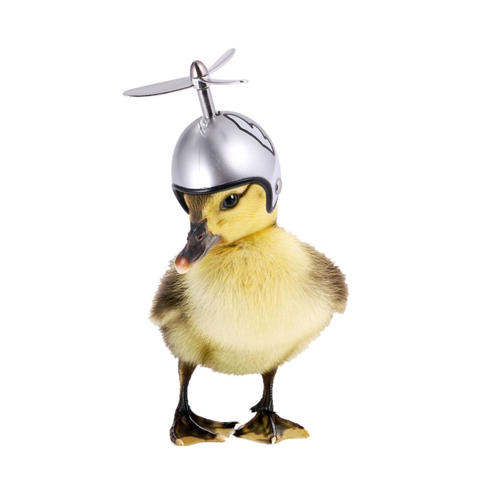 2 Stuks Kip Helm Bescherming Helm Hens Dierbenodigdheden Huisdier Hoed Voor Kip: Silver pattern