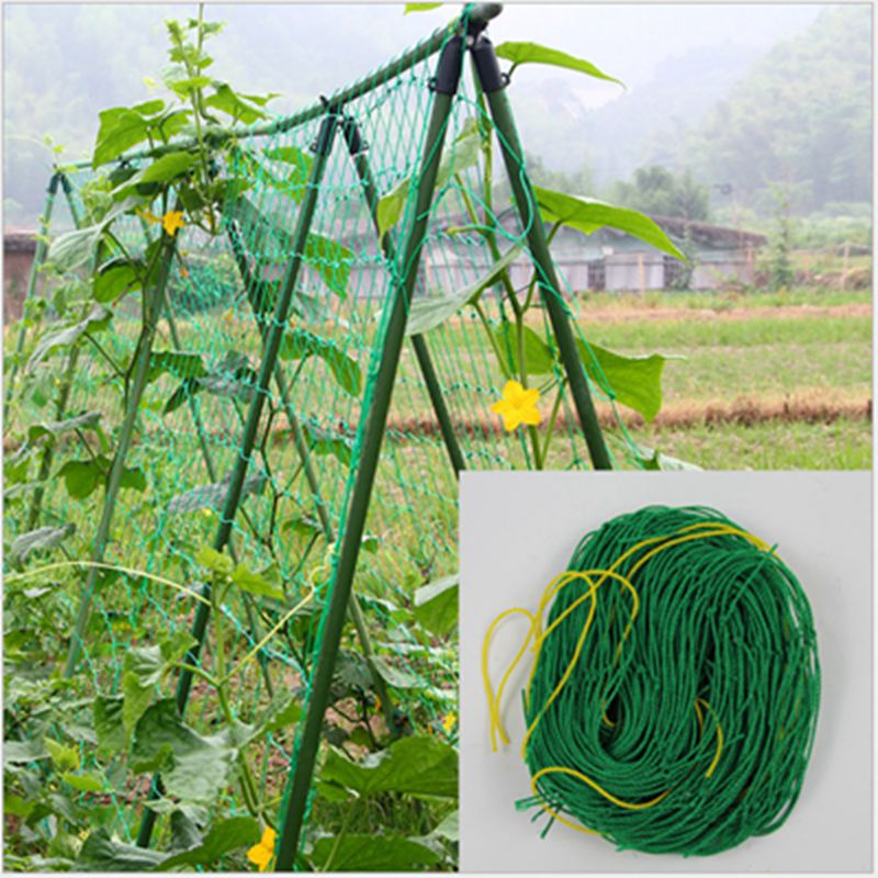 Tewango Heavy Duty Nylon Net Support for Cucumber Morning Glory Petunia Flowers Veggie Trellis Net Plant Climbing Vine