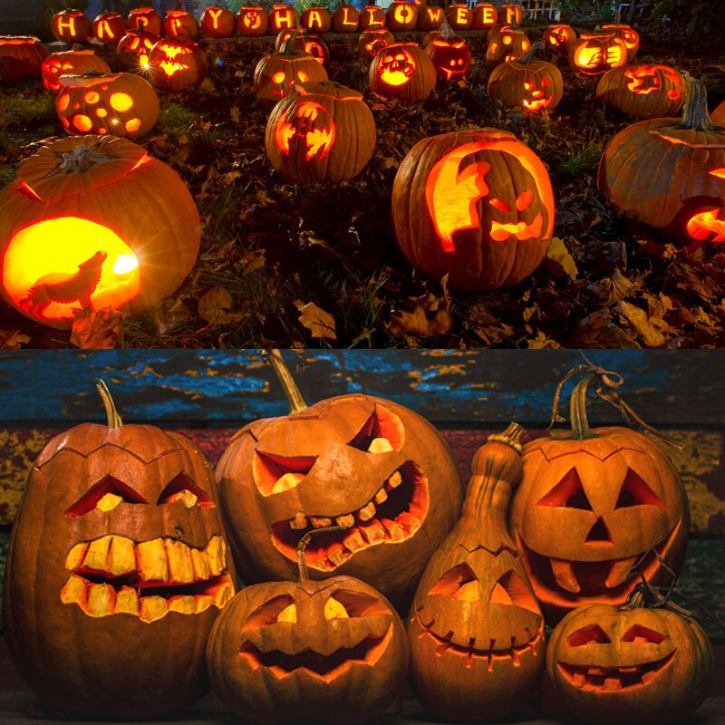 14pcs Set Pumpkin Carving Cutter Tool Kit Carve DIY Durable Reusable For Halloween Lanterns C1