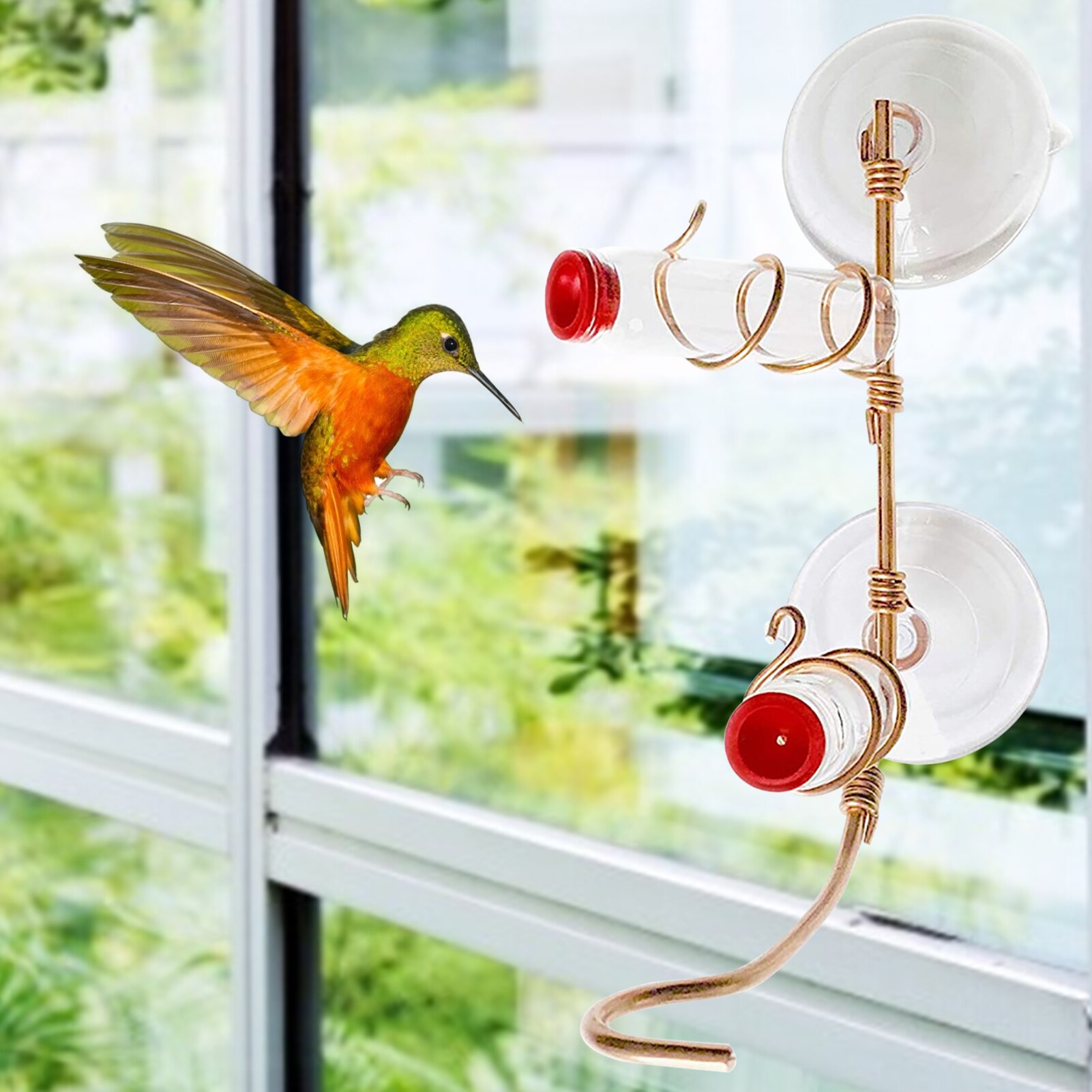 Innovative Hummingbird Feeder Suction-cup Bird Feeder For Parrot Lovebird Pigeon Hanging Viewing Feeding Tool Pet Accessories