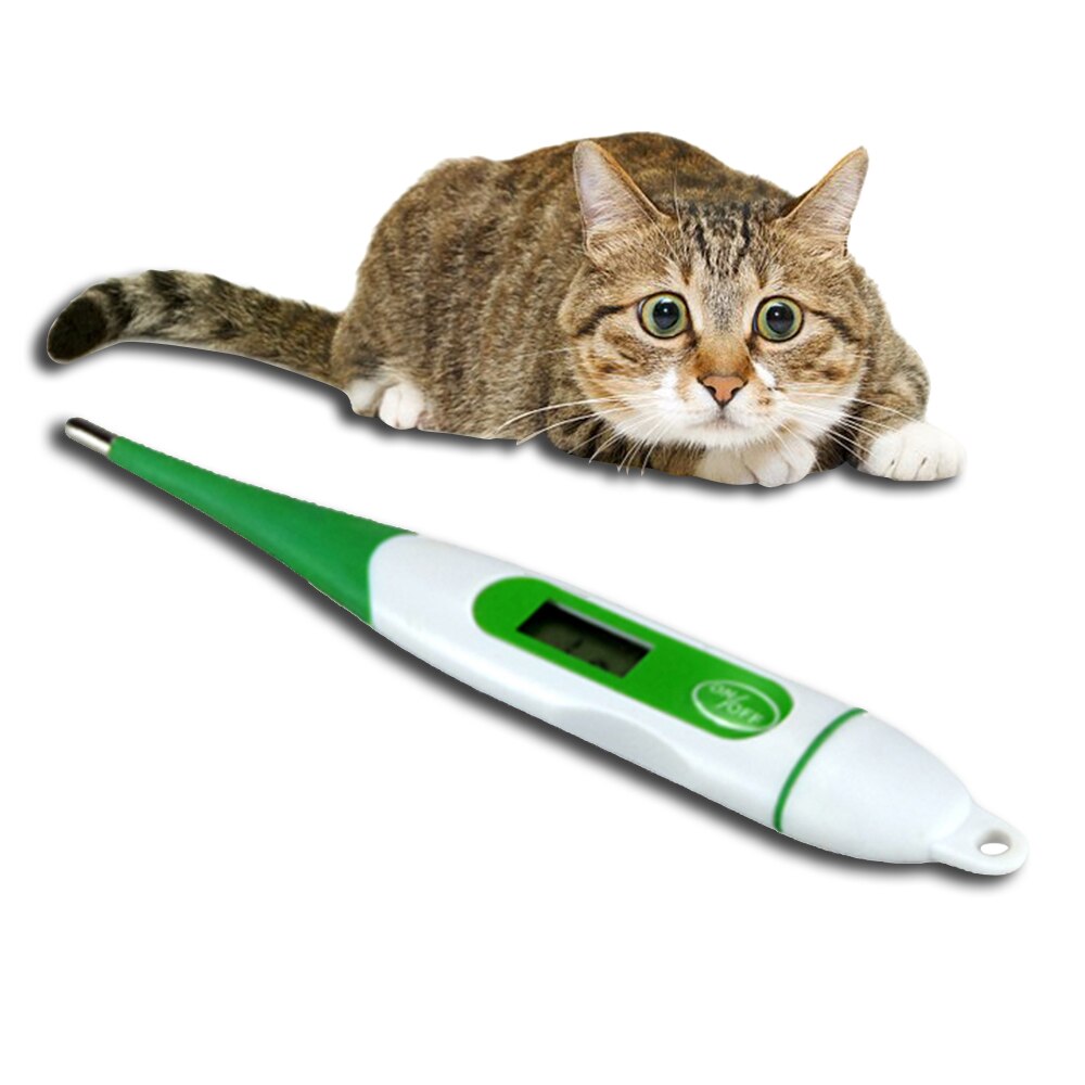 Digitale Thermometer Voor Honden Katten Varken Dieren Elektronische Thermometer Professionele Medische Hulpmiddelen Veterinaire Benodigdheden