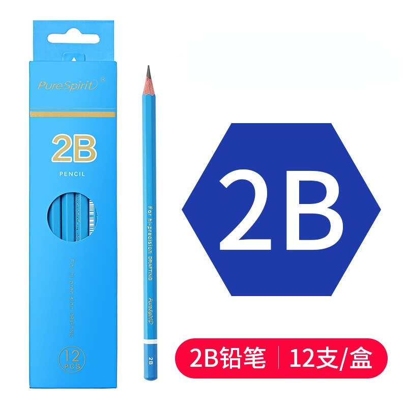 Student Art Drawing Soft Medium Hard Charcoal 2B 4B 6B 8B 10B12B 14B Charcoal and Ink In One Matt Sketch Art Pencil: 2B