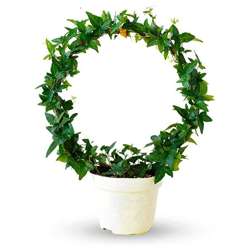 Krata ogrodowa dla rośliny pnące SupportVine roślina metalowy wspornik drut dla roślin wspinaczka uchwyt stojak wnętrz