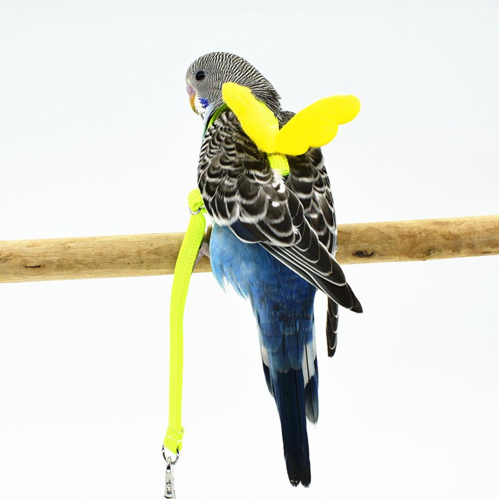 Papegaai Bird Harness Leash Vliegende Touw Bandjes Outdoor Training Trekkabel Voor Grasparkiet Dwergpapegaai Valkparkiet Kleine Vogels