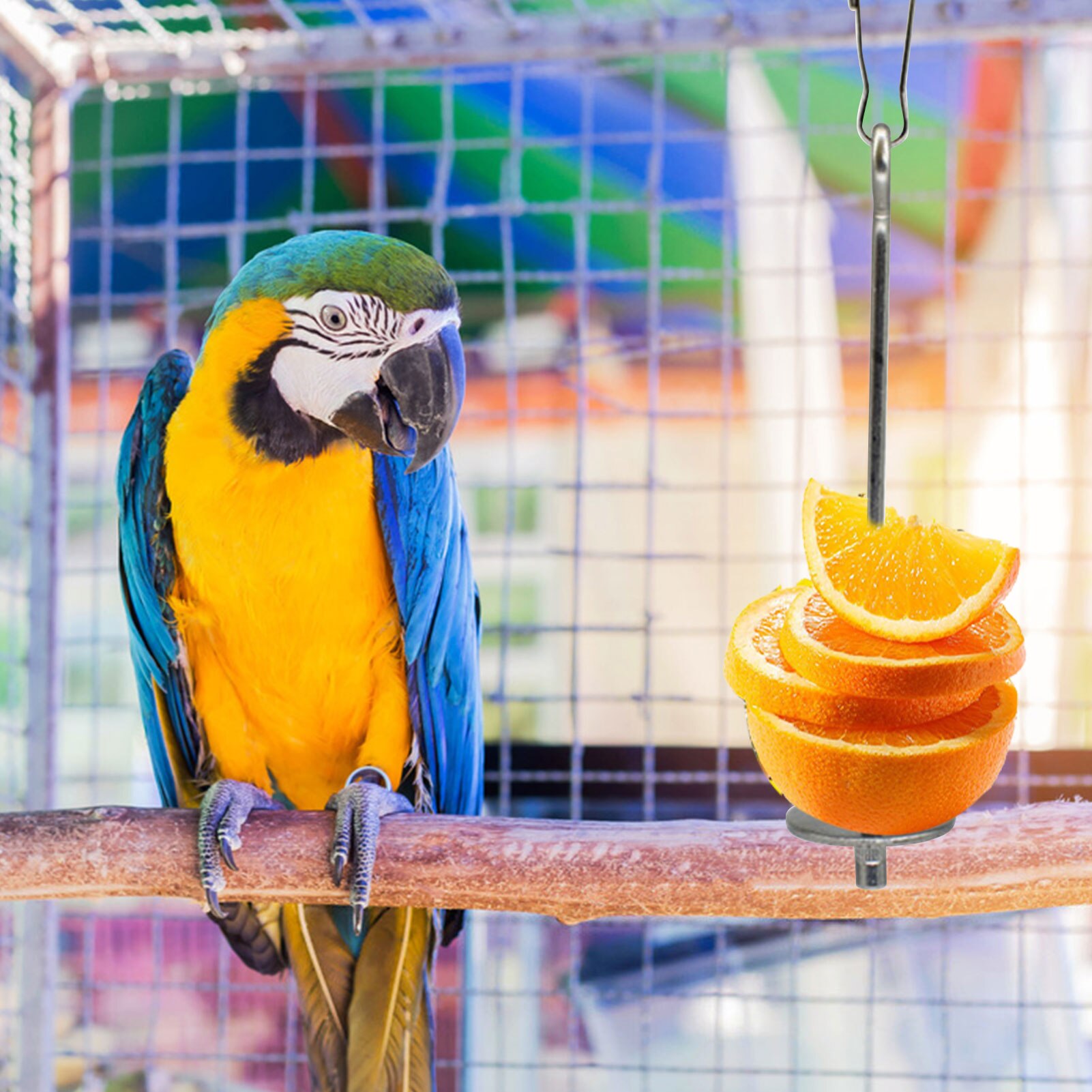 Tenedor de fruta de acero inoxidable para loros, soporte para loros, accesorio para jaula, gancho, suministros medianos y grandes para aves