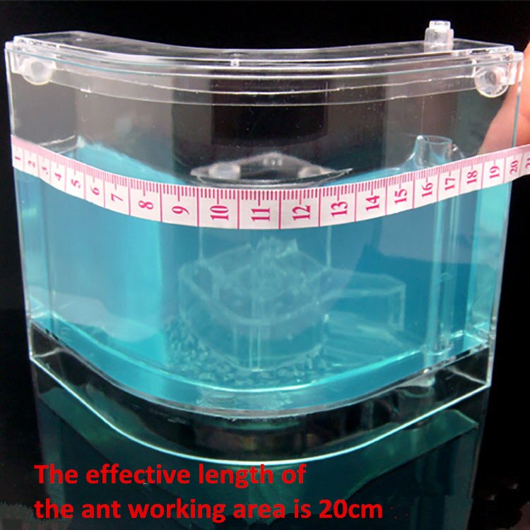 Ant Workshop House for Pet Villa Farm Ant Nest Castle Home formicarim