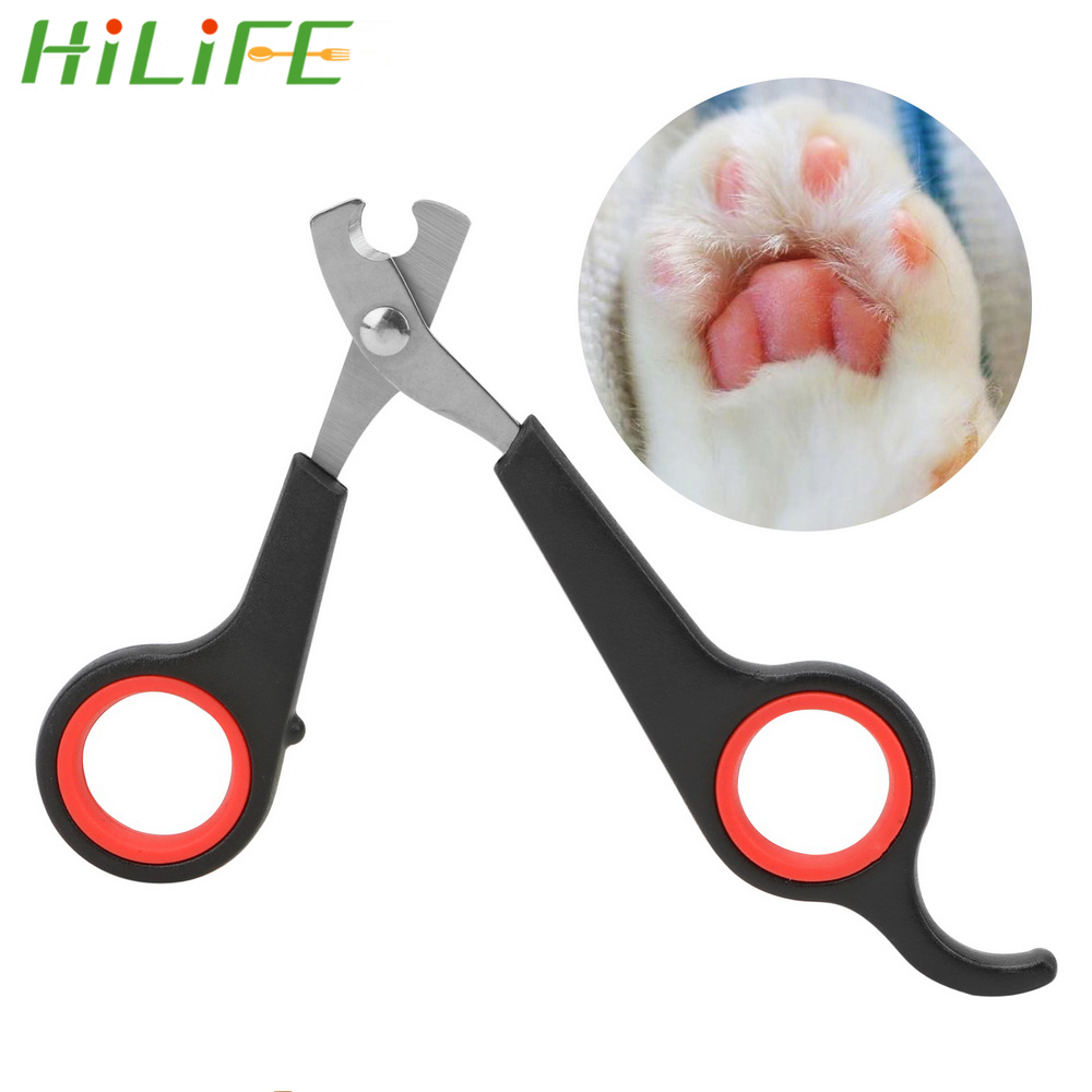 Kat Cutter Puppy Nagelknipper Trimmer Cutter Kat Hond Groomin... – Grandado